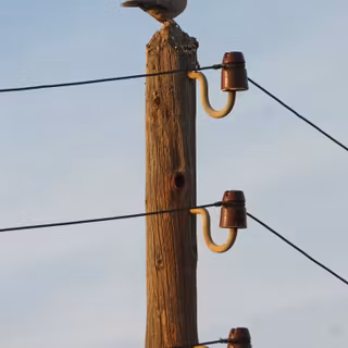 Electric pole wallpaper