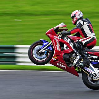 Motorcycle wheelie wallpaper