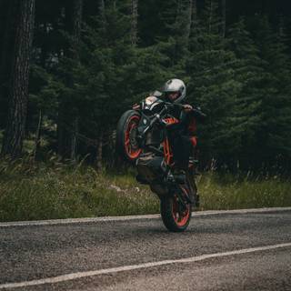 Motorcycle wheelie wallpaper