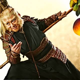 Monkey Magic wallpaper