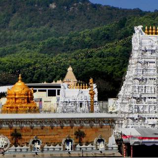 South Indian temple wallpaper