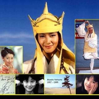 Monkey Magic wallpaper