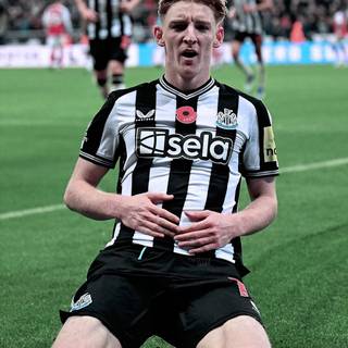 Anthony Gordon wallpaper