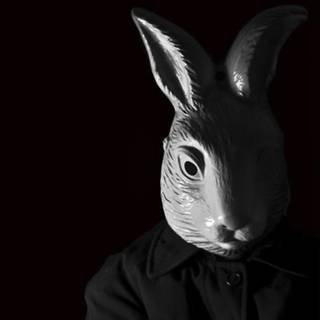 Bunny mask wallpaper