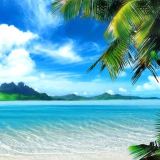iPad beach wallpaper
