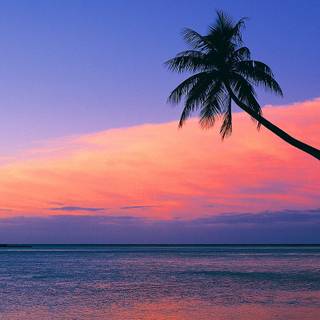 Pink sunset desktop wallpaper