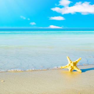 iPad beach wallpaper