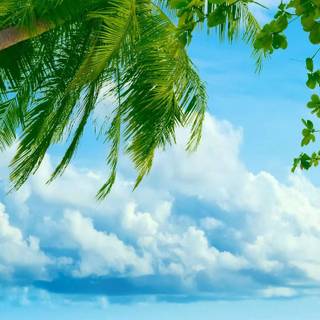 iPad beach wallpaper