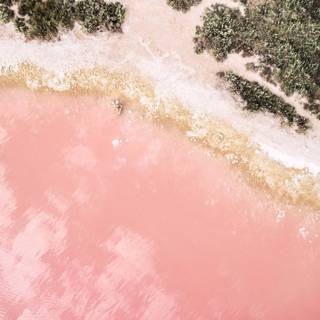 iPad beach wallpaper