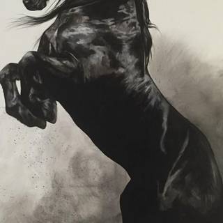 Black horse HD 4k iPhone wallpaper