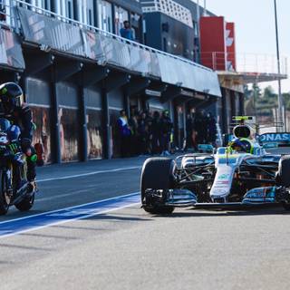 4k Hamilton wallpaper