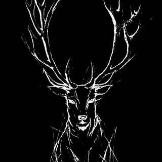 Deer drawing wallpaper