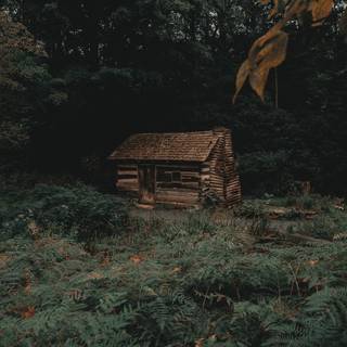 Moody iPhone wallpaper