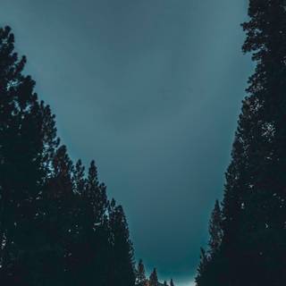 Moody iPhone wallpaper