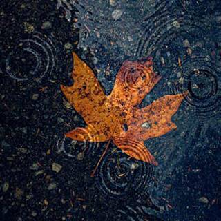 Moody iPhone wallpaper