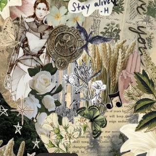 The Hunger Games phone wallpaper