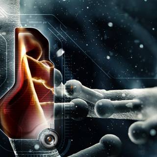 iPhone history wallpaper