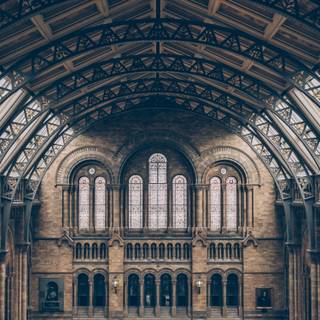 iPhone history wallpaper