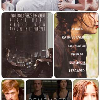 The Hunger Games phone wallpaper