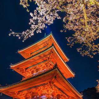 Kyoto phone wallpaper