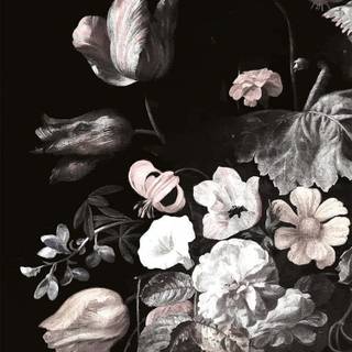 Aesthetic flower phone wallpaper