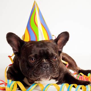 Happy birthday phone wallpaper