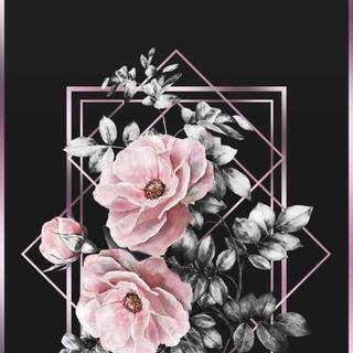 Aesthetic flower phone wallpaper