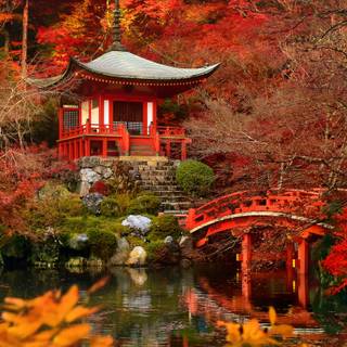 Kyoto phone wallpaper