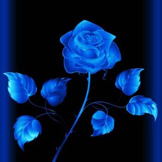 iPhone blue flower wallpaper