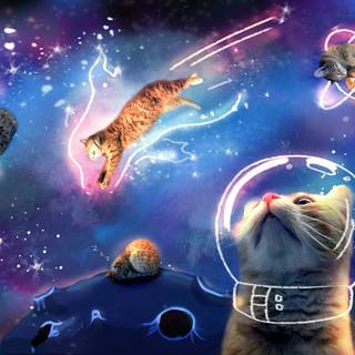 Cosmic cat wallpaper