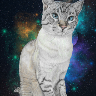 Space cat phone wallpaper