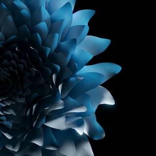 iPhone blue flower wallpaper