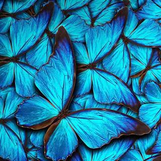 iPhone blue design wallpaper