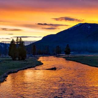 Yellowstone iPhone wallpaper