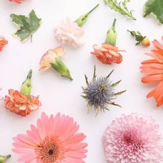 iPhone 8 aesthetic wallpaper