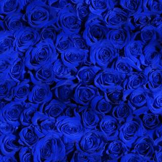 iPhone blue design wallpaper