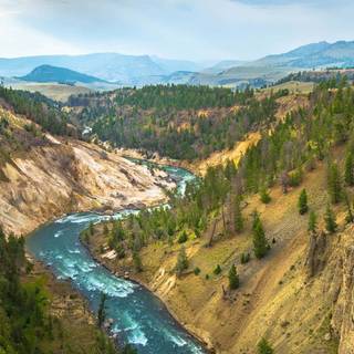Yellowstone iPhone wallpaper