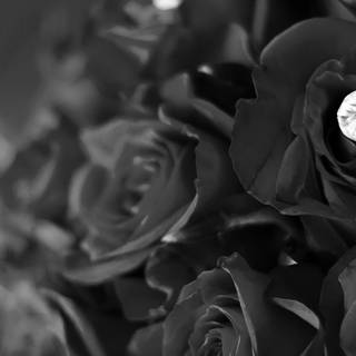 iPhone 8 aesthetic wallpaper