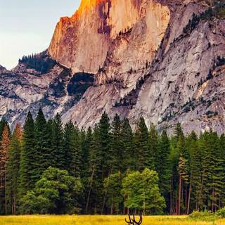 Yellowstone iPhone wallpaper