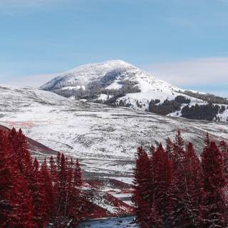 Yellowstone iPhone wallpaper