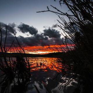 Yellowstone iPhone wallpaper