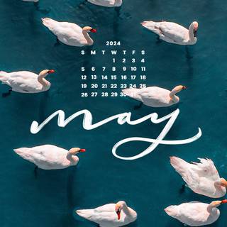 iPhone 8 aesthetic wallpaper