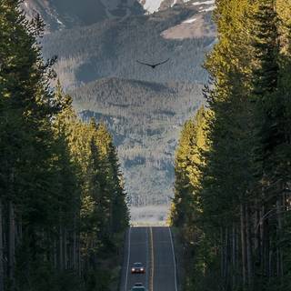 Yellowstone iPhone wallpaper