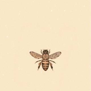 Bee phone wallpaper