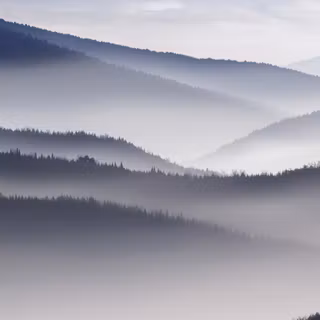 Fog desktop wallpaper