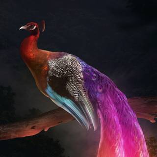 Mythical 4k wallpaper