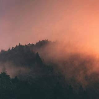 Foggy mountain 4k wallpaper