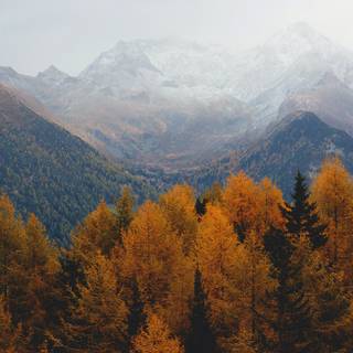 Foggy mountain 4k wallpaper