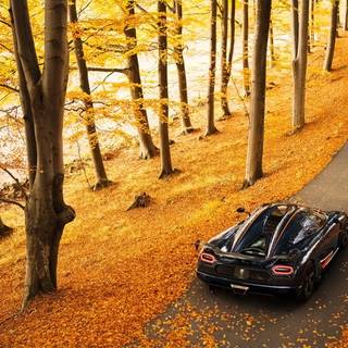 McLaren autumn wallpaper