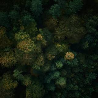 4k tablets wallpaper